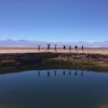 laguna cejar
