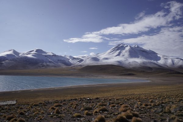 lagunas altiplánicas piedras rojas (red stone altiplanic lagoons)