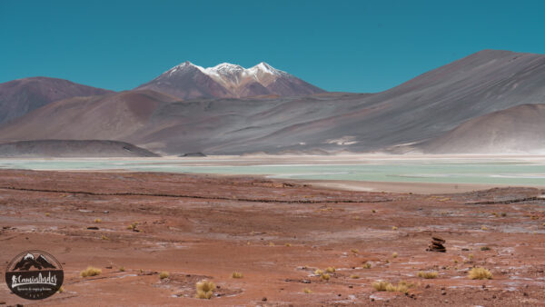 lagunas altiplánicas