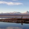 Tour por laguna Cejar en San Pedro de Atacama - Imagen 6