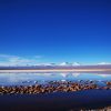 Tour laguna Cejar