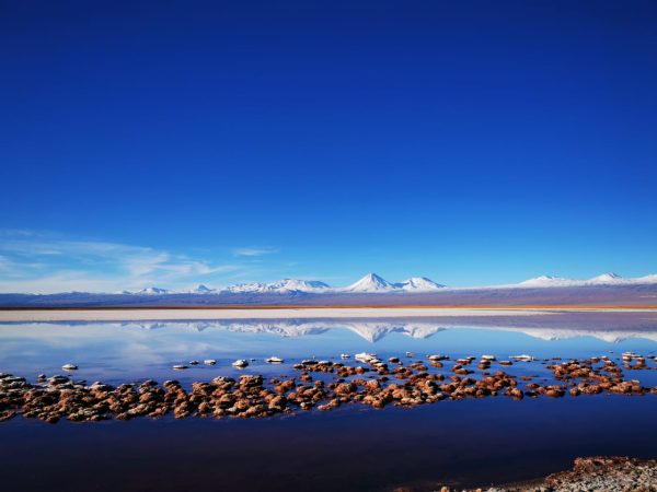 Tour laguna Cejar