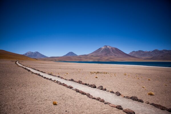 Tour Piedras Rojas y Lagunas Altiplánicas - Imagen 6