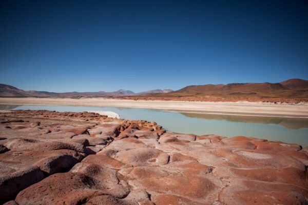 Tour Piedras Rojas y Lagunas Altiplánicas - Imagen 4