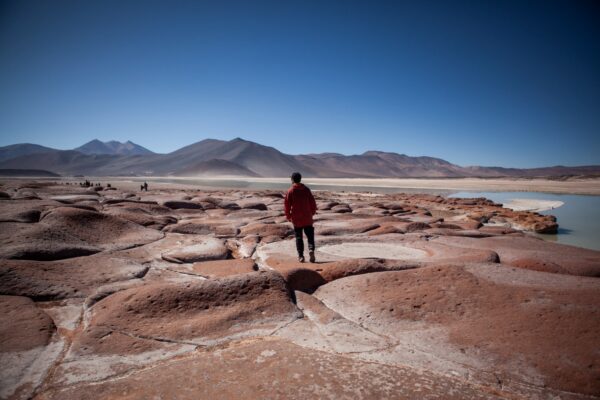 Tour Piedras Rojas y Lagunas Altiplánicas - Imagen 2