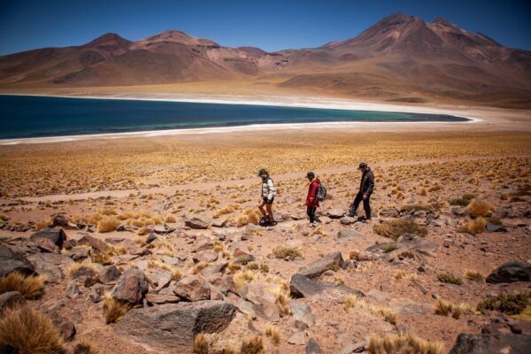 Tour Piedras Rojas y Lagunas Altiplánicas - Imagen 8