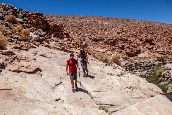 Cascada escondidas + Valle de cactus - Imagen 7