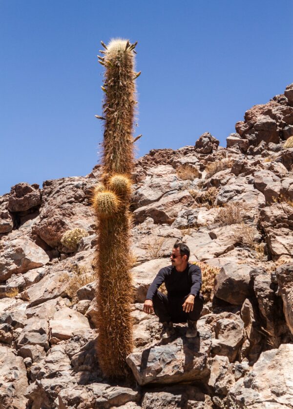 Cascada escondidas + Valle de cactus - Imagen 6