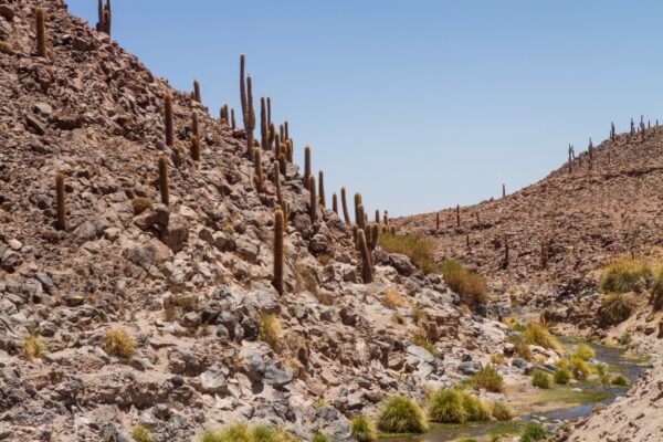 Cascada escondidas + Valle de cactus - Imagen 2