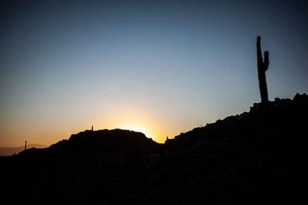 Trekking valle de los Cactus - Imagen 12