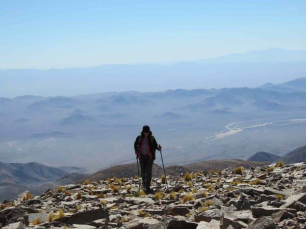 cerro quimal