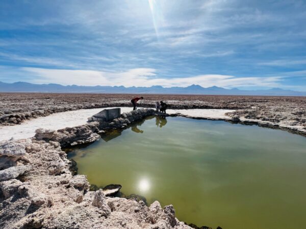 Tour a Toconao, Quebrada de Jerez y Laguna Chaxa - Imagen 8