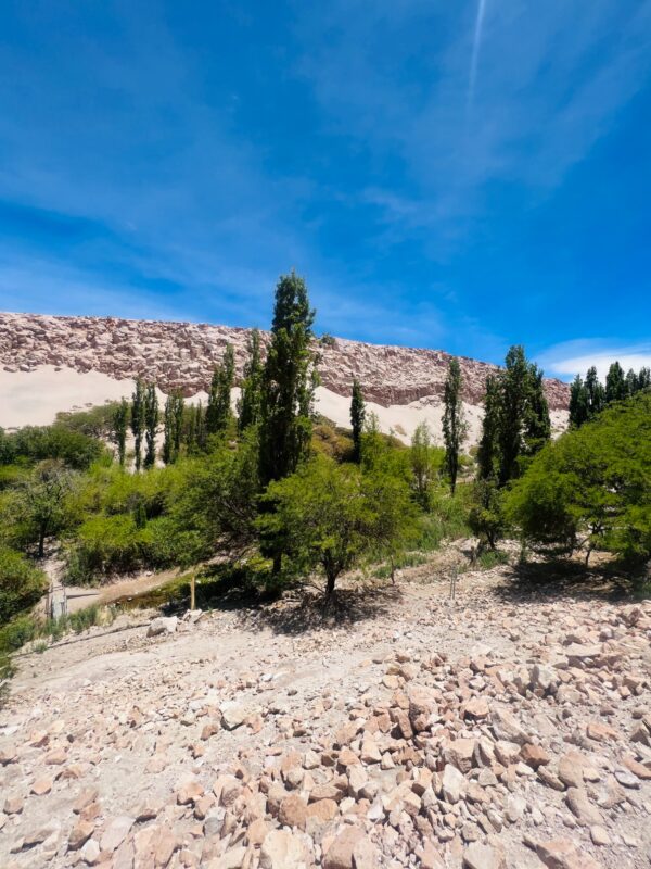 Tour a Toconao, Quebrada de Jerez y Laguna Chaxa - Imagen 3