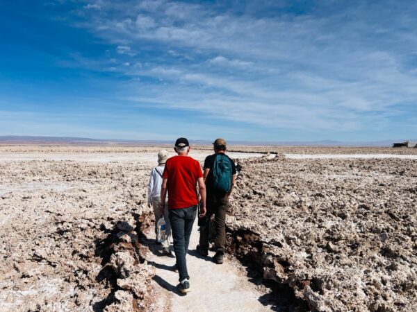 Tour a Toconao, Quebrada de Jerez y Laguna Chaxa - Imagen 5