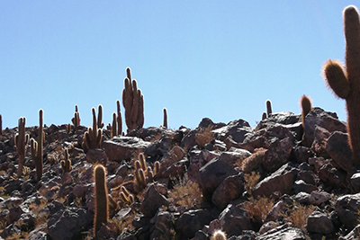 landscapes of northern chile