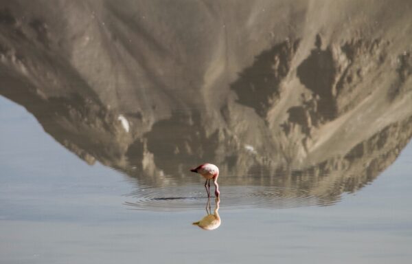 Laguna Lejia - Imagen 12