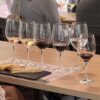 Viña Concha y Toro: Experiência Marqués de Casa Concha - Image 2