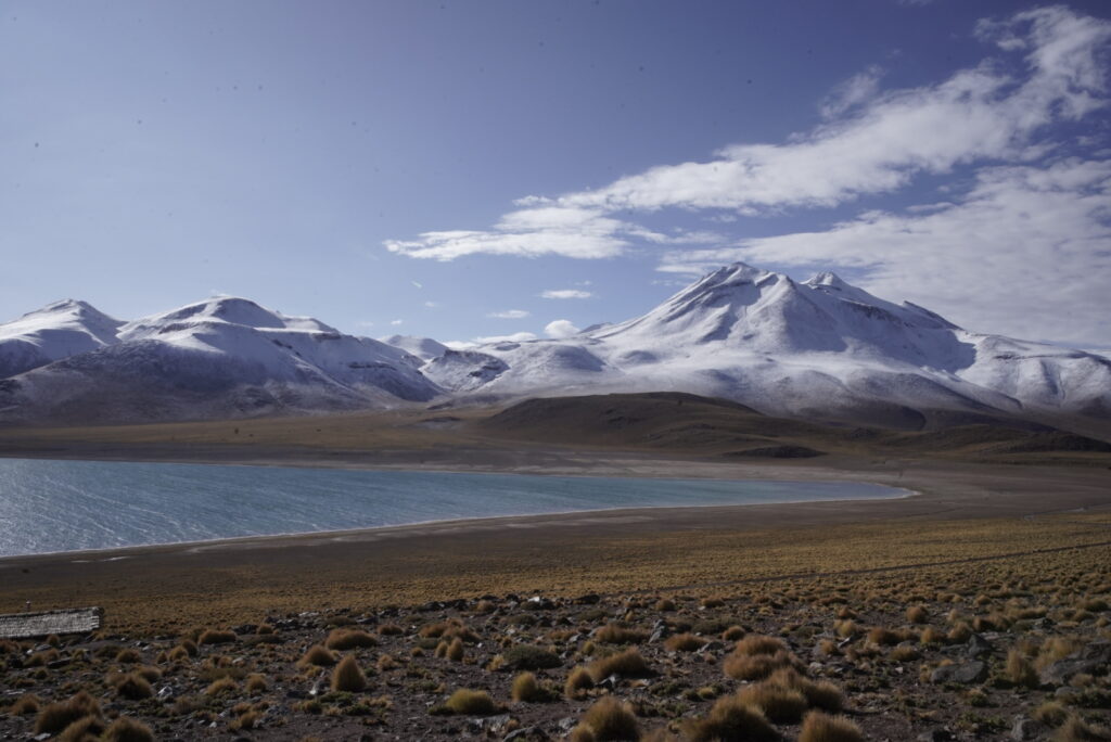 Piedras rojas y laguna altiplánicas