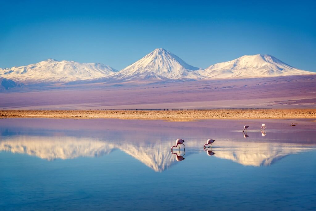 Invierno atacama